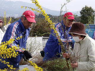 DSCF6789.jpg