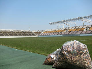 IMG_8519-01.jpg