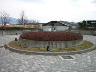 P1000153.JPG