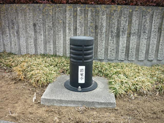 P1000154.JPG
