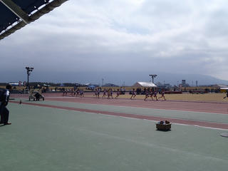 P4100021.jpg