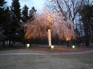 P1010234-02.jpg