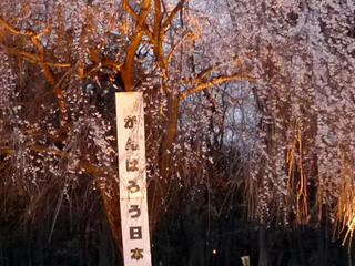 P1010234-01.jpg
