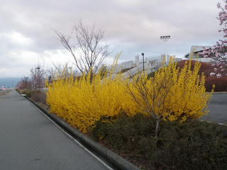 P4190023.jpg