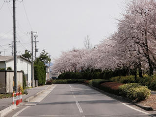 P4210026.jpg