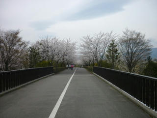 P1000275.JPG