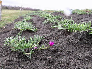 DSCF7428.jpg