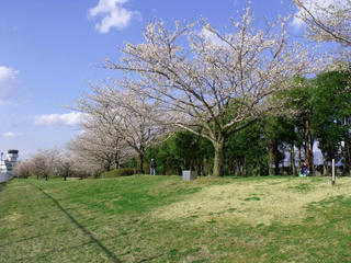 DSCF7476_2.jpg