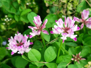 DSCF7565.jpg