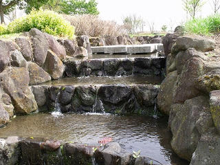 DSCF7573.jpg