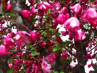 DSCF7575.jpg