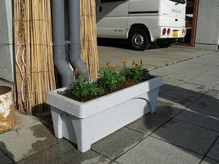 DSCF7857.jpg