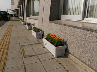 P5200038.jpg