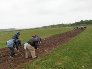 P5280053.jpg