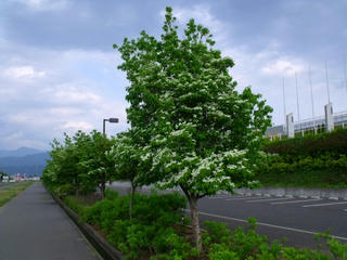 110609_1.jpg