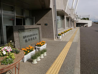 P6140057.jpg