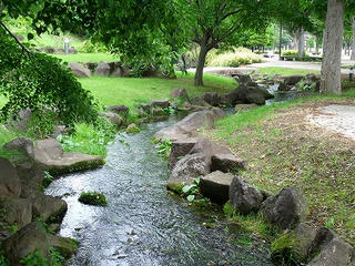 DSCF8807.jpg