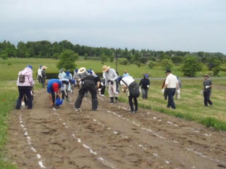 P6.jpg
