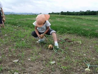 DSCF9047.jpg