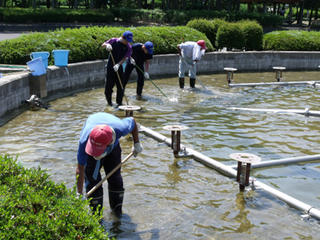DSCF9375-01.jpg
