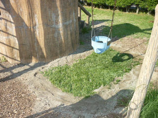 P1000226.JPG