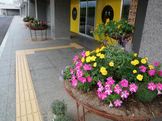 P1010096.jpg
