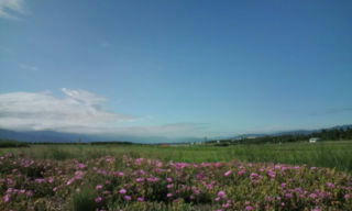 20110721153515.jpg