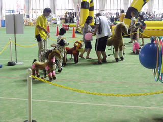 DSCF9503.jpg