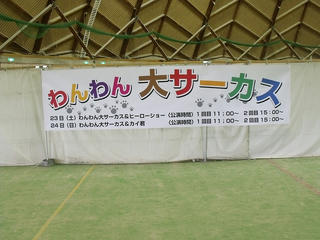 DSCF9511.jpg