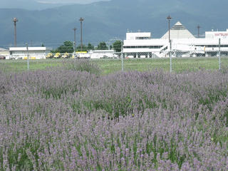 DSCF9561.jpg