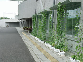 DSCF9568.jpg