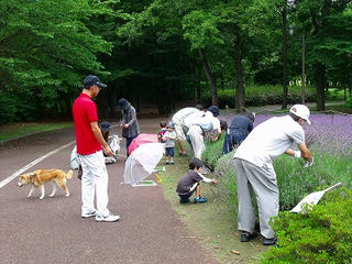 DSCF9616.jpg