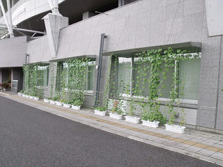 DSCF9675.jpg