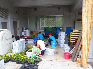P8020454.jpg