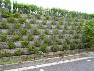 P8020463.jpg