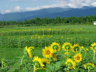 DSCF9845.jpg