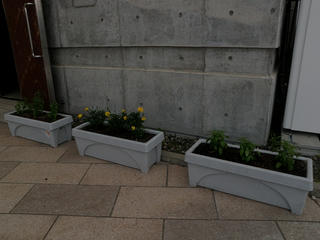 P1010303.jpg