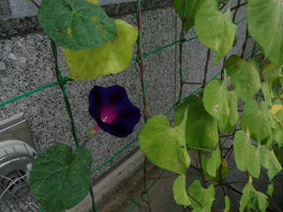 P1010304.jpg