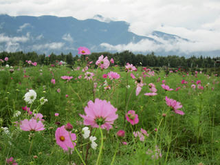 IMG_0805-01.jpg