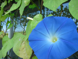 IMG2011.09.09_01.jpg