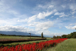 IMG2011.09.09_02.jpg