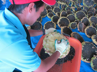 IMG2011.09.09_04.jpg