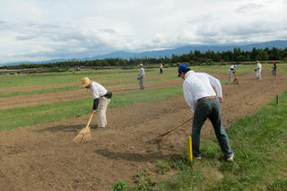 IMG_1714-01.jpg