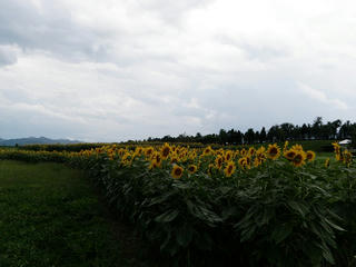P8170024.jpg