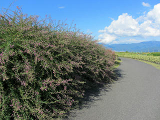 IMG_4178-01.jpg