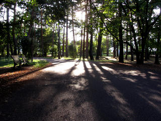 IMG_4205-02.jpg
