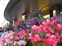 IMG_4214-01.jpg