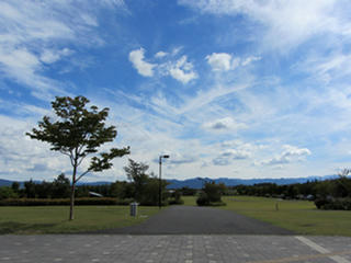 IMG_4431-01.jpg