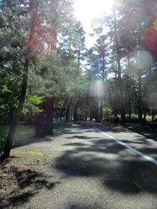 IMG_4494-01.jpg