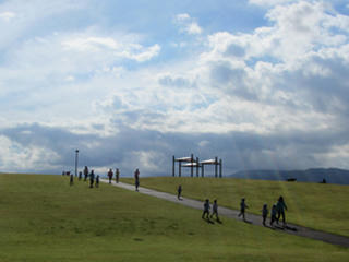 IMG_4498-01.jpg